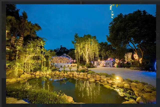 Chạng vạng, đèn vàng soi xuống hồ koi