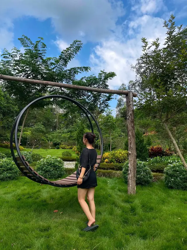 Khung tròn bằng sắt treo trên giá gỗ giữa vườn cây