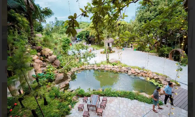 Hồ cá koi bao quanh bởi đá và cây, nhìn từ trên cao